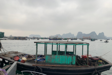 Quảng Ninh: Bắt giữ tàu vận chuyển 1200 lít dầu Diezen không có hóa đơn chứng từ