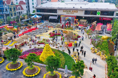 Rộn ràng không khí Hội hoa xuân 2022 tại Novaland Gallery