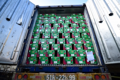 Quản trị chất lượng nông sản từ gốc, không để 'nước đến chân mới nhảy'