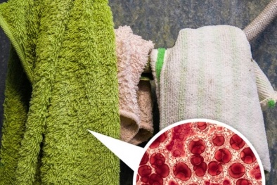 Đồ dùng tuyệt đối không nên để trong nhà tắm vì tiềm ẩn ổ vi khuẩn gây hại