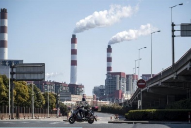 Thương mại xanh - động lực thúc đẩy tăng trưởng kinh tế