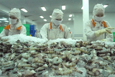Tiềm năng xuất khẩu hàng Việt sang thị trường Á - Âu 