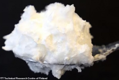 Phát triển thành công lòng trắng trứng gà từ nấm