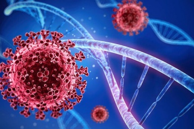 Xác định biến thể gene mới có khả năng chống lại Covid-19