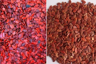 Đảm bảo an toàn sức khỏe khi lựa chọn sản phẩm trong ngày Tết cổ truyền