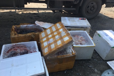 Ngăn chặn trên 200 kg nội tạng động vật không rõ nguồn gốc đang trên đường tiêu thụ