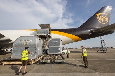 Logistics- yếu tố quyết định thành công của doanh nghiệp công nghệ cao Việt Nam