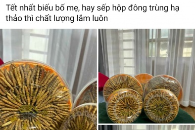 Bùng nổ quà tặng đông trùng hạ thảo dịp Tết: Khó nhận biết chất lượng 