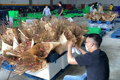 Sàn thương mại điện tử sẵn sàng giao hàng xuyên Tết phục vụ người tiêu dùng