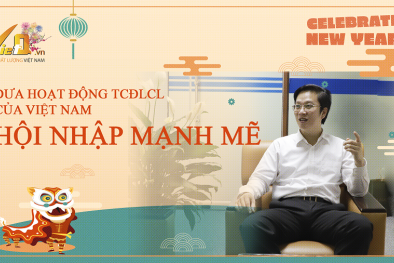 Đưa hoạt động TCĐLCL của Việt Nam hội nhập mạnh mẽ
