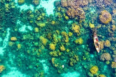 Sun World Hon Thom Nature Park bùng nổ Tết này với game mới lần đầu tiên có tại Việt Nam