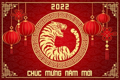 Thư chúc Tết của Giám đốc Trung tâm Thông tin - Truyền thông, Tổng biên tập Chất lượng Việt Nam Online
