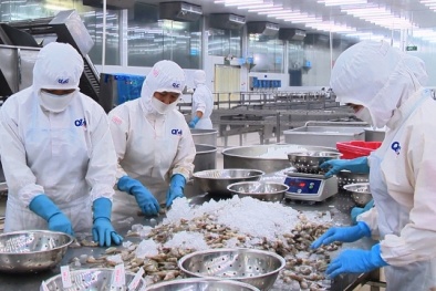 Từng bước nâng cao năng suất chất lượng ngành công nghiệp chế biến thủy sản
