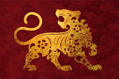 Người tuổi Hổ thường mang những nét tính cách đặc trưng nào?