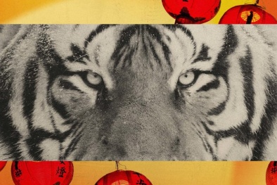 Điều quan trọng nhất với người tuổi Dần trong năm mới