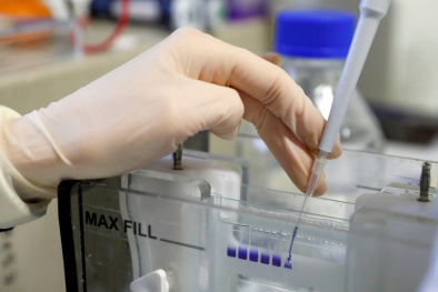 Trung Quốc: Phát hiện kháng thể mới có thể chống Omicron 