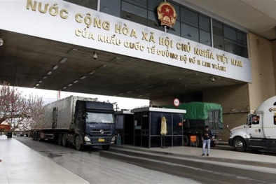 Xuất khẩu nông sản khởi sắc trong 3 ngày đầu năm 2022