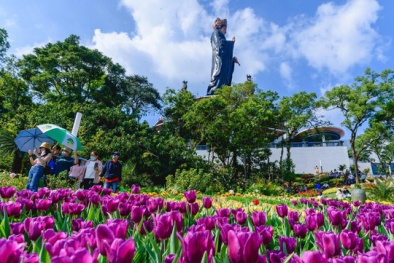 Lý giải sức hút du lịch Tây Ninh ngay những ngày đầu năm mới 2022