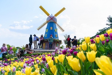 Đón hàng trăm ngàn lượt khách, du lịch Tây Ninh ‘ấm’ dịp đầu năm 