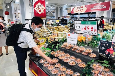 Hàng nông - thủy sản Việt Nam ngày càng xuất hiện nhiều trên kệ hàng tại Nhật Bản