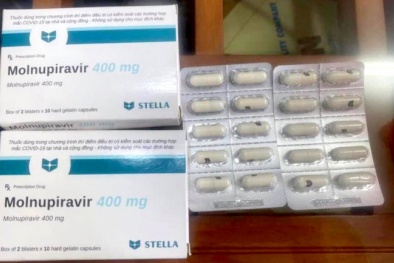 Cấm bán thuốc Molnupiravir điều trị COVID-19