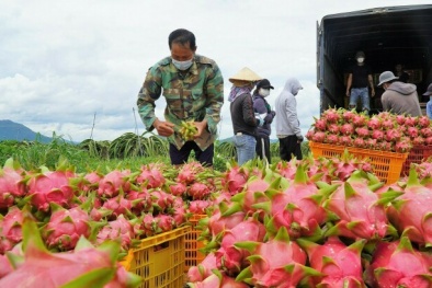 Chỉ dẫn địa lý - Công cụ đắc lực giúp hàng Việt nâng cao lợi thế cạnh tranh