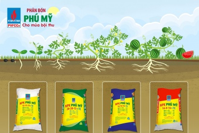 Phân bón Phú Mỹ: Sản lượng sản xuất cao, sẵn sàng cho mùa vụ cao điểm sắp tới