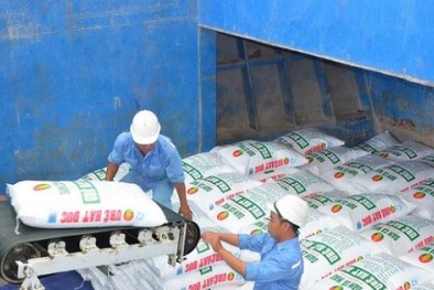 Xuất khẩu phân bón tăng trưởng 682% trong tháng đầu năm