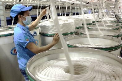 Hoàn thiện hệ thống tiêu chuẩn, quy chuẩn kỹ thuật lĩnh vực công thương