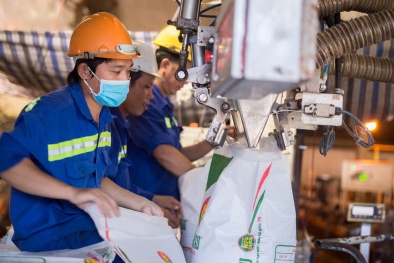 Phân bón Cà Mau chủ động xuất khẩu trong thời gian thấp vụ, giảm tồn kho