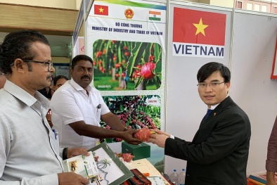 Tăng cường hiện diện tại Ấn Độ- Chìa khóa thúc đẩy quan hệ thương mại đầu tư 2 nước