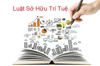 UBTVQH cho ý kiến về dự án Luật sửa đổi, bổ sung một số điều của Luật Sở hữu trí tuệ