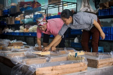 Kinh tế tập thể đóng vai trò quan trọng trong thúc đẩy sản xuất hàng hóa