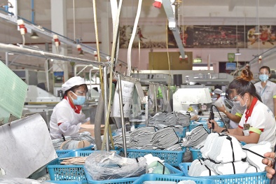 Covid-19 - cuộc ‘thanh lọc’ đối với doanh nghiệp