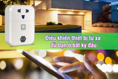 7 công dụng của ổ cắm wifi hẹn giờ, bạn có biết? 