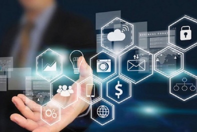 Khánh Hòa: Khuyến khích doanh nghiệp chuyển hướng sang lĩnh vực công nghệ số