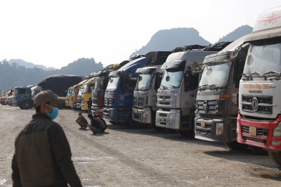 Bài toán ùn tắc ở cửa khẩu: Cần nhìn lại chất lượng sản phẩm hàng hóa