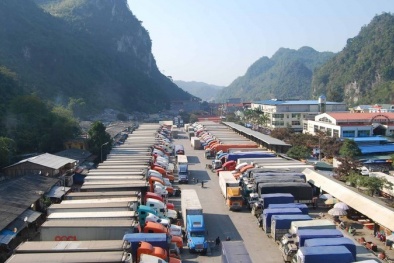 Lạng Sơn: Tiếp tục dừng tiếp nhận xe chở hoa quả tươi đến cửa khẩu đến ngày 5/3