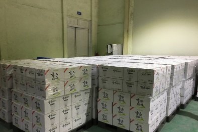 Phát hiện và xử lý nhiều vụ việc giả mạo nhãn hiệu được bảo hộ tại Việt Nam