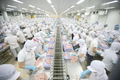 Nâng cao chất lượng sản phẩm, thực hiện truy xuất nguồn gốc, phấn đấu xuất khẩu 1,6 tỷ USD cá tra năm 2022