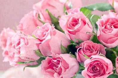 Những loại hoa đẹp và ý nghĩa nên chọn làm quà tặng dịp 8/3