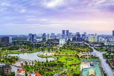 Tiêu chuẩn quốc tế - nền tảng cho sự phát triển của đổi mới kỹ thuật số 