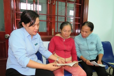 BHXH tỉnh Bình Định: Một năm nhìn lại
