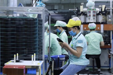 Hỗ trợ doanh nghiệp nhỏ và vừa về khoa học, công nghệ và đổi mới sáng tạo