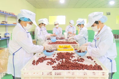 Khoa học và công nghệ: Đòn bẩy đưa nông sản vươn xa trong bối cảnh hội nhập