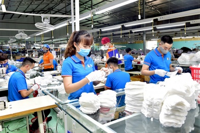 Quảng Ngãi: Phấn đấu đến năm 2030 có khoảng 200 doanh nghiệp công nghệ số 