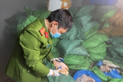 Phát hiện gần 10 tấn thực phẩm gia cầm, động vật không rõ nguồn gốc