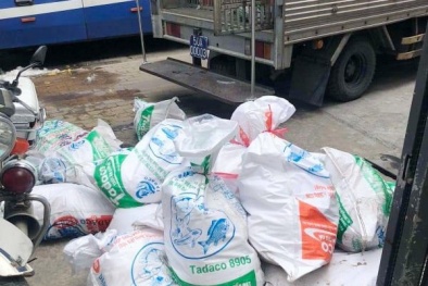 Vận chuyển thịt bẩn: 'Phải xử lý hình sự mới sợ'