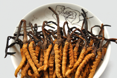 F0 thận trọng khi sử dụng tổ yến, Đông trùng hạ thảo bồi bổ sức khỏe