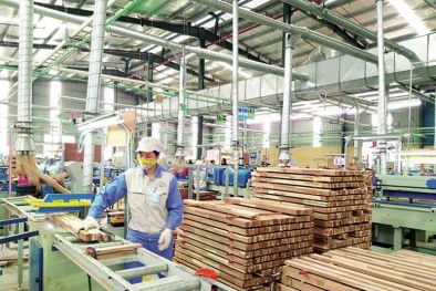 Khuyến khích doanh nghiệp chế biến gỗ sử dụng thương hiệu ‘Gỗ Việt’